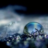 水智者
